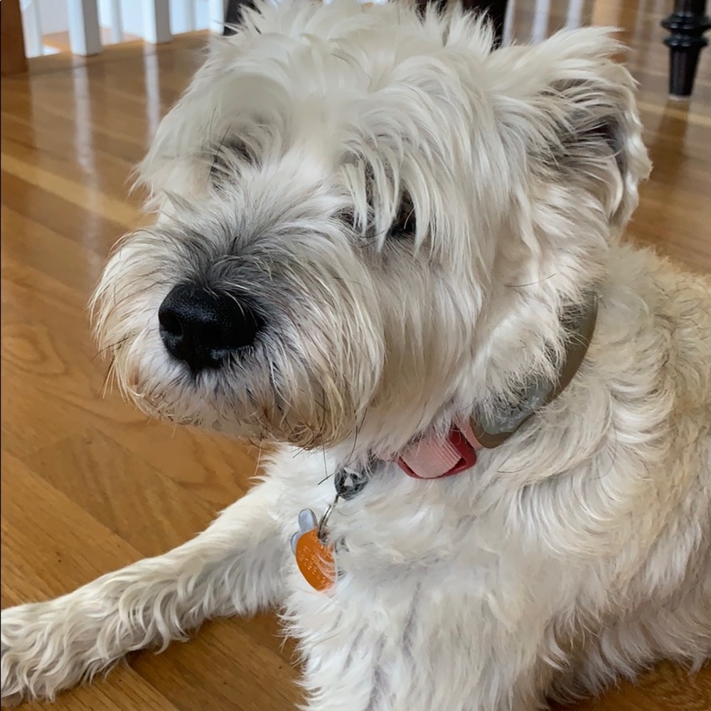 Meet your Posher, Gabriella